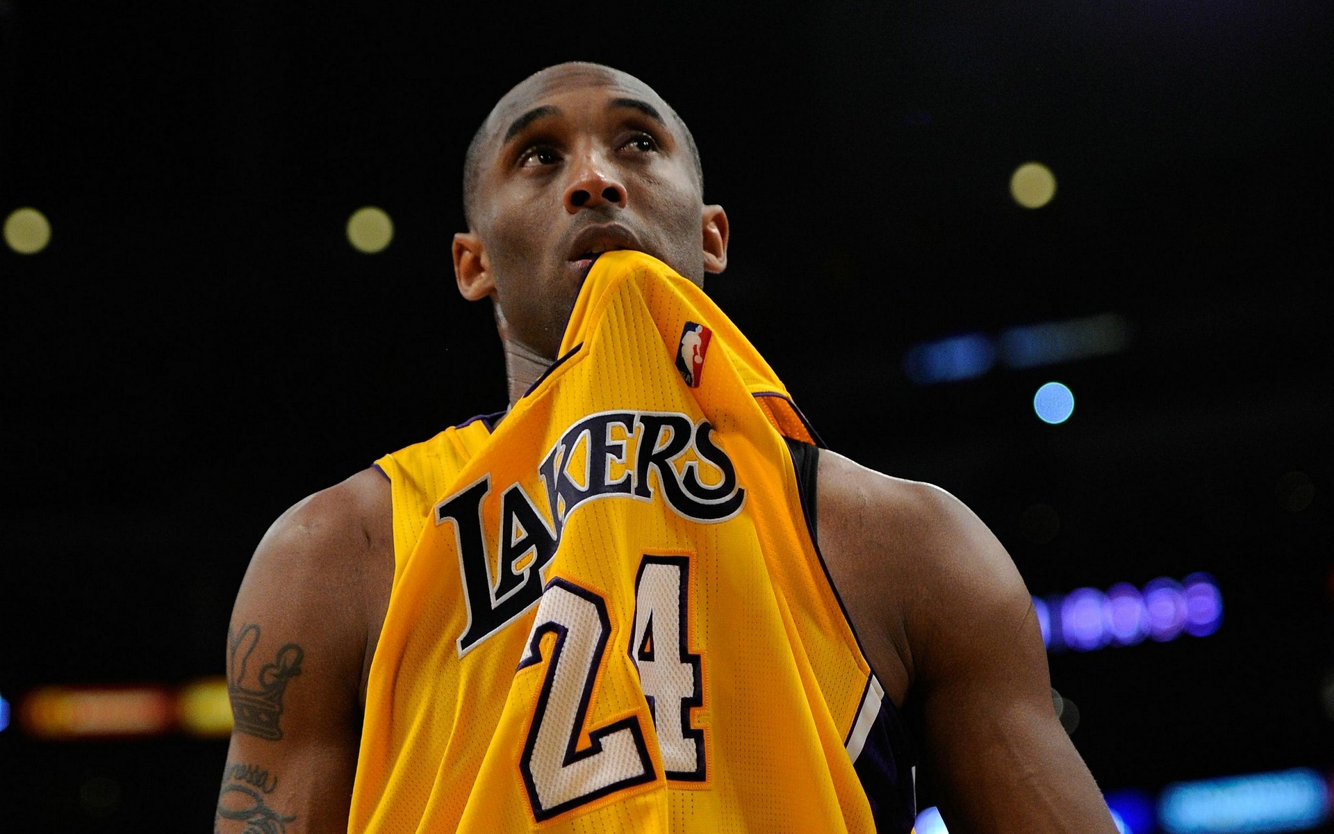 价与广阔的 价与广阔的